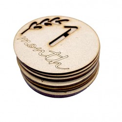 Wooden Monthly Milestone Discs 